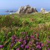 Paysages Breton / Britany landscape